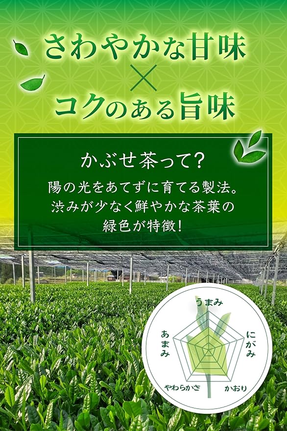 【福岡県八女産さえみどり&やぶきた品種】深蒸しかぶせ緑茶「八女の星」80g詰※ネコポス便4本まで