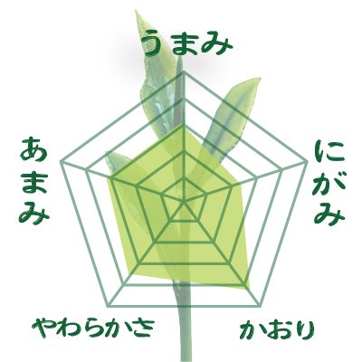 【福岡県八女産さえみどり&やぶきた品種】深蒸しかぶせ緑茶「八女の星」80g詰※ネコポス便4本まで