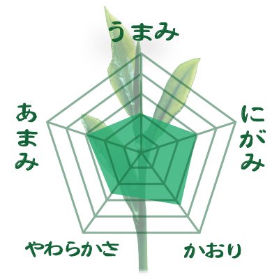 【福岡八女産やぶきた&さえみどり品種】 特製深蒸しかぶせ緑茶「八女の香り」80g詰※ネコポス便4本まで
