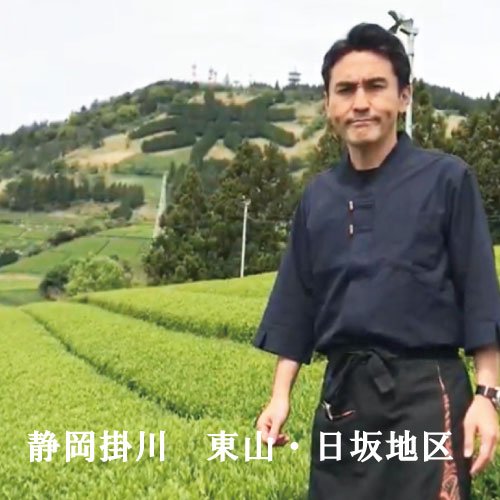 静岡厳選茶葉使用「ひとときティーバッグ」紐無しテトラ型5gティーバッグ×20P詰 ※ネコポス便不可