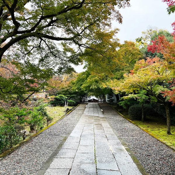 茶事へ京都に行ってきました！