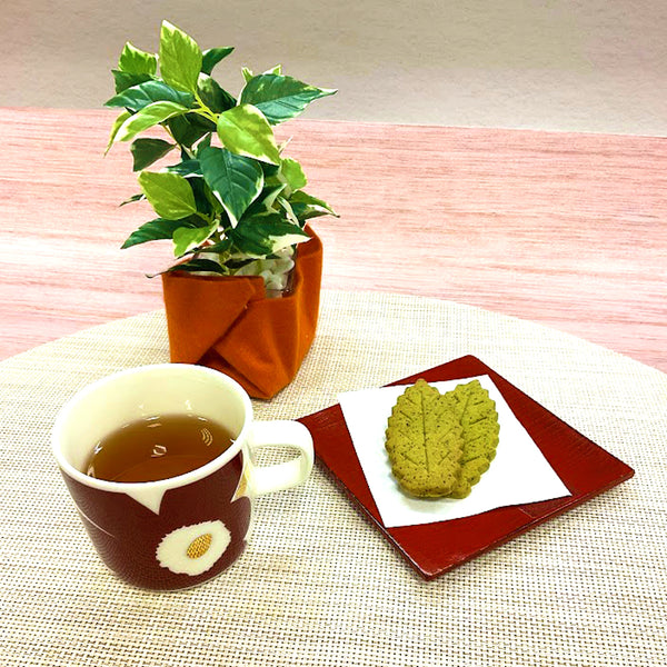 紐付きほうじ茶ティーバッグ、リニューアルしました。