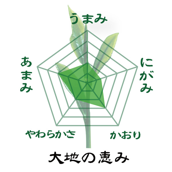 お得な春芳茶園Webサイト限定価格！送料込「鹿児島知覧茶 大地の恵み」４本セット