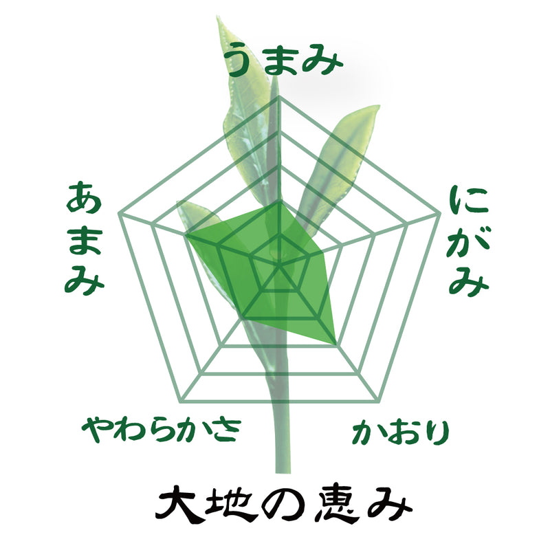 お得な春芳茶園Webサイト限定価格！送料込「春芳茶園特製 鹿児島知覧茶」４本セット