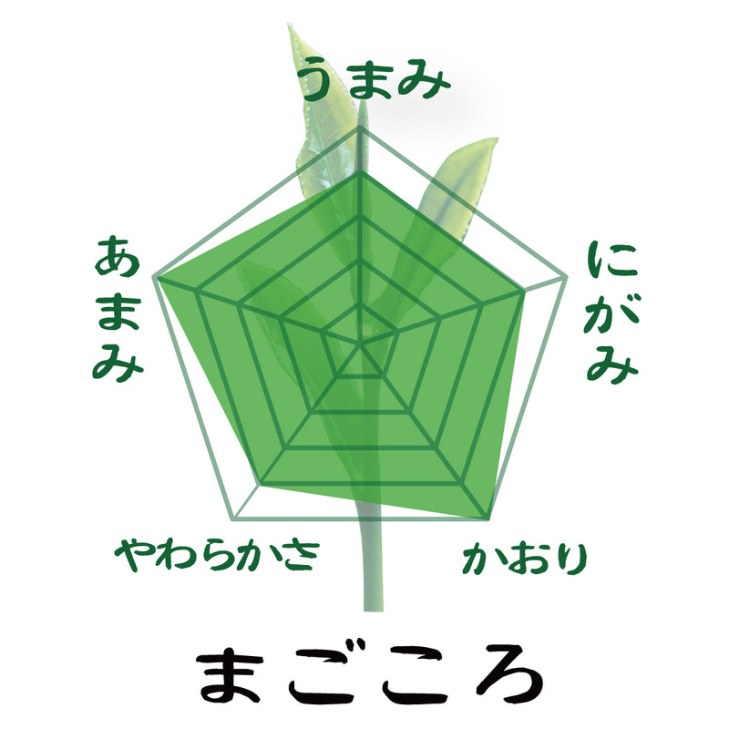 [Yabukita variety from Kakegawa, Shizuoka] Mogami deep steamed green tea "Magokoro" 80g set of 2 bottles