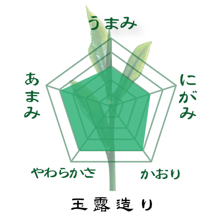 特別価格！「割れないティーポット＆三大産地かぶせ煎茶飲みくらべセット」※ネコポス便不可