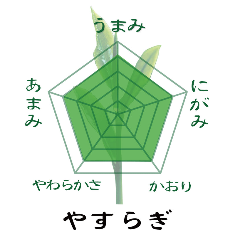 2026年度産新茶【静岡牧之原産やぶきた品種】 特製オリジナル深蒸し煎茶「やすらぎ」80g詰※ネコポス便4本まで