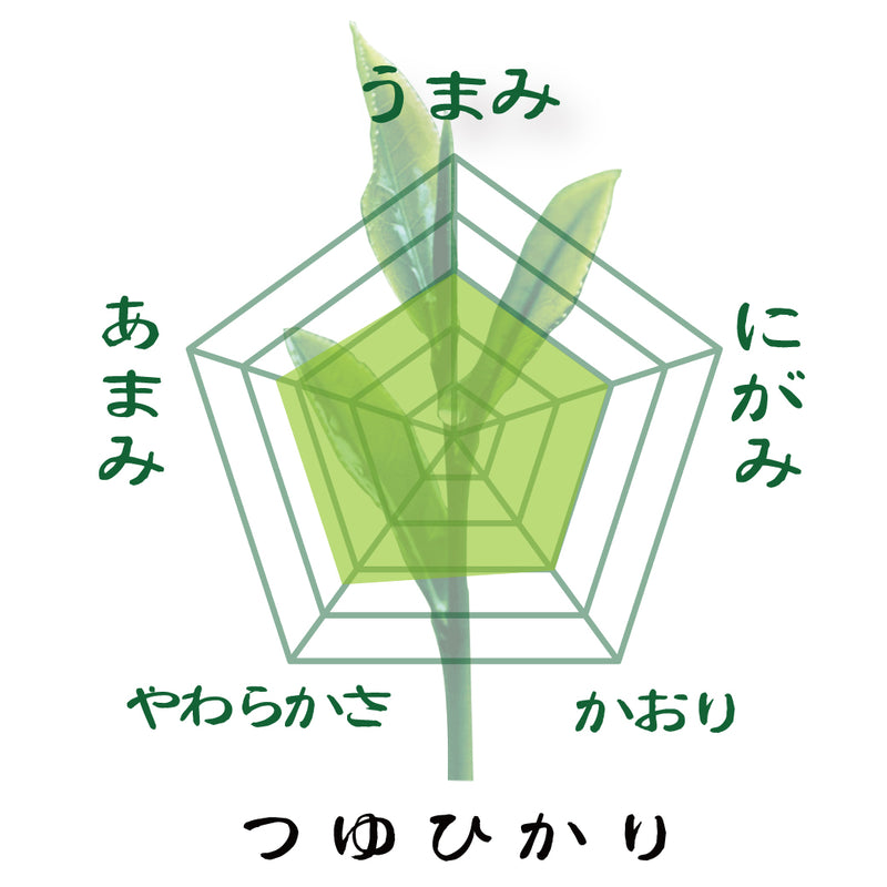 特別価格！贈答箱入！静岡・鹿児島・福岡八女「三大産地おすすめ茶葉セット」