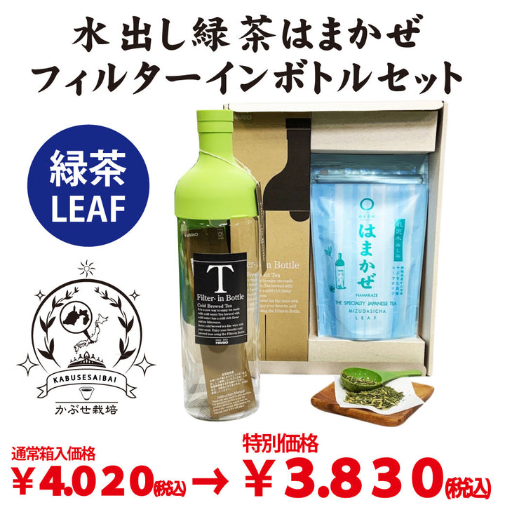 ギフト用贈答箱入　【静岡森産】 水出し緑茶「はまかぜ」160g詰＆水出しフィルターインボトルセット