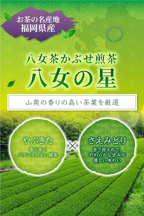 【福岡県八女産さえみどり＆やぶきた品種】深蒸しかぶせ緑茶「八女の星」80g詰※ネコポス便4本まで