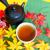 [Makino Shizuoka] Hojicha tea bag "Momidashi Dark Tea" Tetra type 5GTB x 20P without string * No mail service