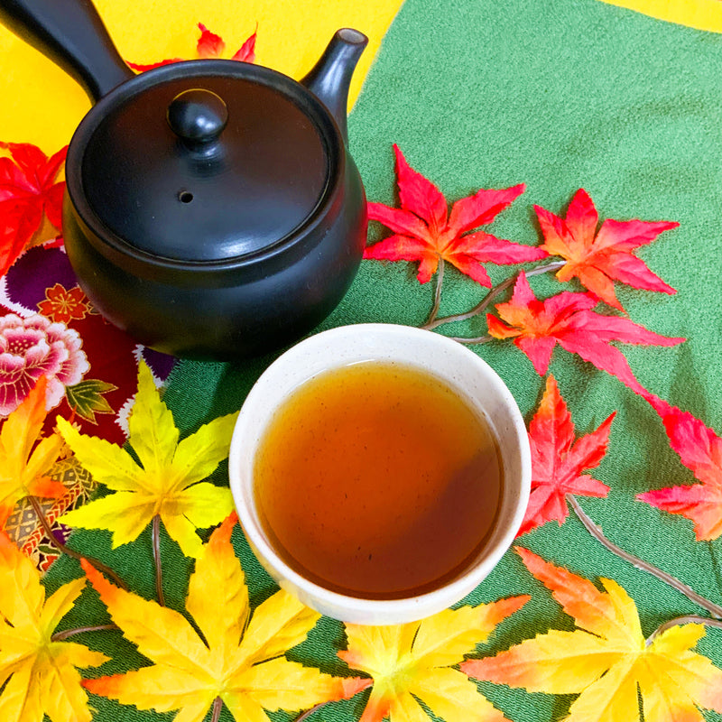 [Makino Shizuoka] Hojicha tea bag "Momidashi Dark Tea" Tetra type 5GTB x 20P without string * No mail service