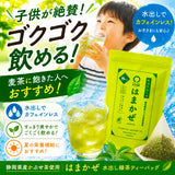 大容量40ｐ入【静岡森産】 水出し緑茶「はまかぜティーバッグ」5g×40P詰※ネコポス便不可