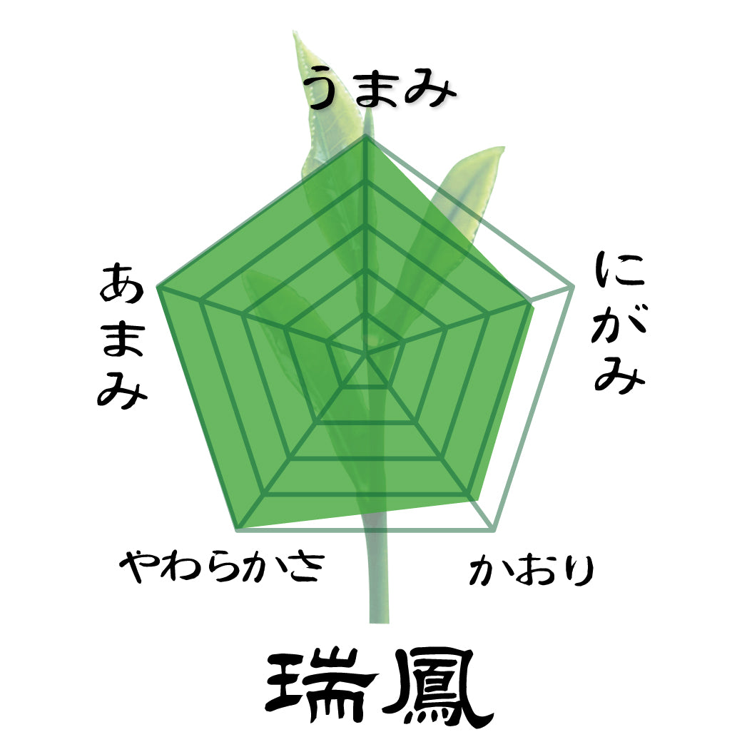 [Yabukita variety from Shizuoka Kakegawa Kikugawa] Special deep-steamed green tea 