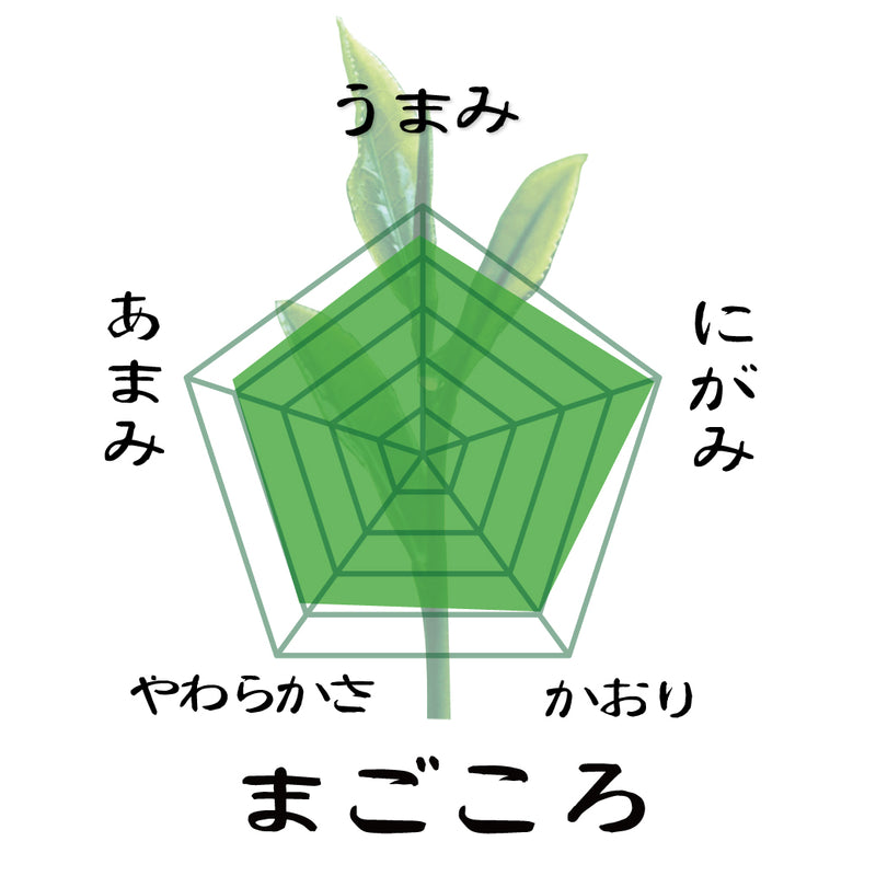 【静岡掛川産やぶきた品種】 特製オリジナル深蒸し緑茶「まごころ」80g詰※ネコポス便4本まで