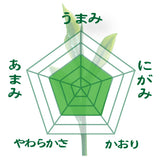 期間限定10月15日～21日のお渡しor配送となります。780円→690円！創業祭限定特別価格 深蒸し緑茶「生荒茶」80g詰【静岡掛川菊川産やぶきた品種】