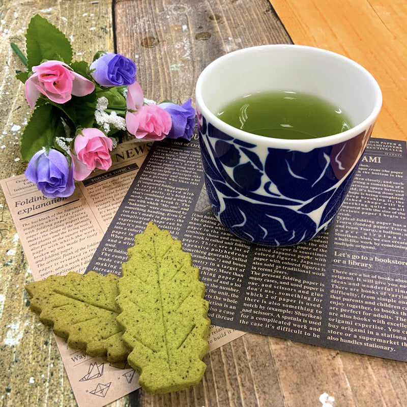 【失敗しない！お茶名人！深蒸し茶におすすめ！割れない急須】クリアティーポット【急須タイプ】480ｍｌ