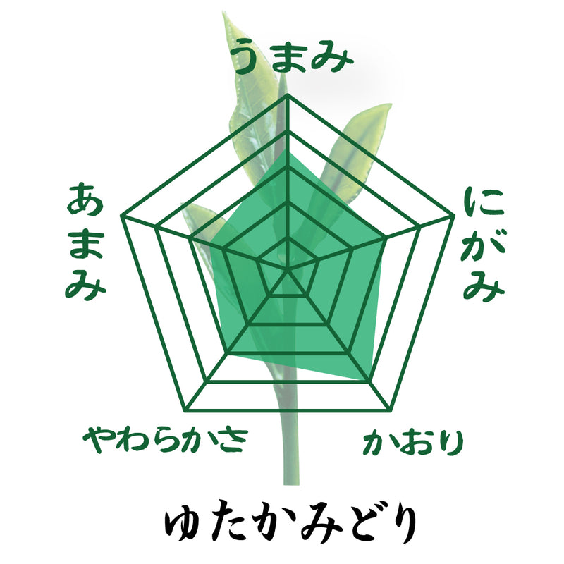 【鹿児島県大根占・知覧産】かぶせ煎茶玉露造り ・ かぶせ煎茶ゆたかみどりセット