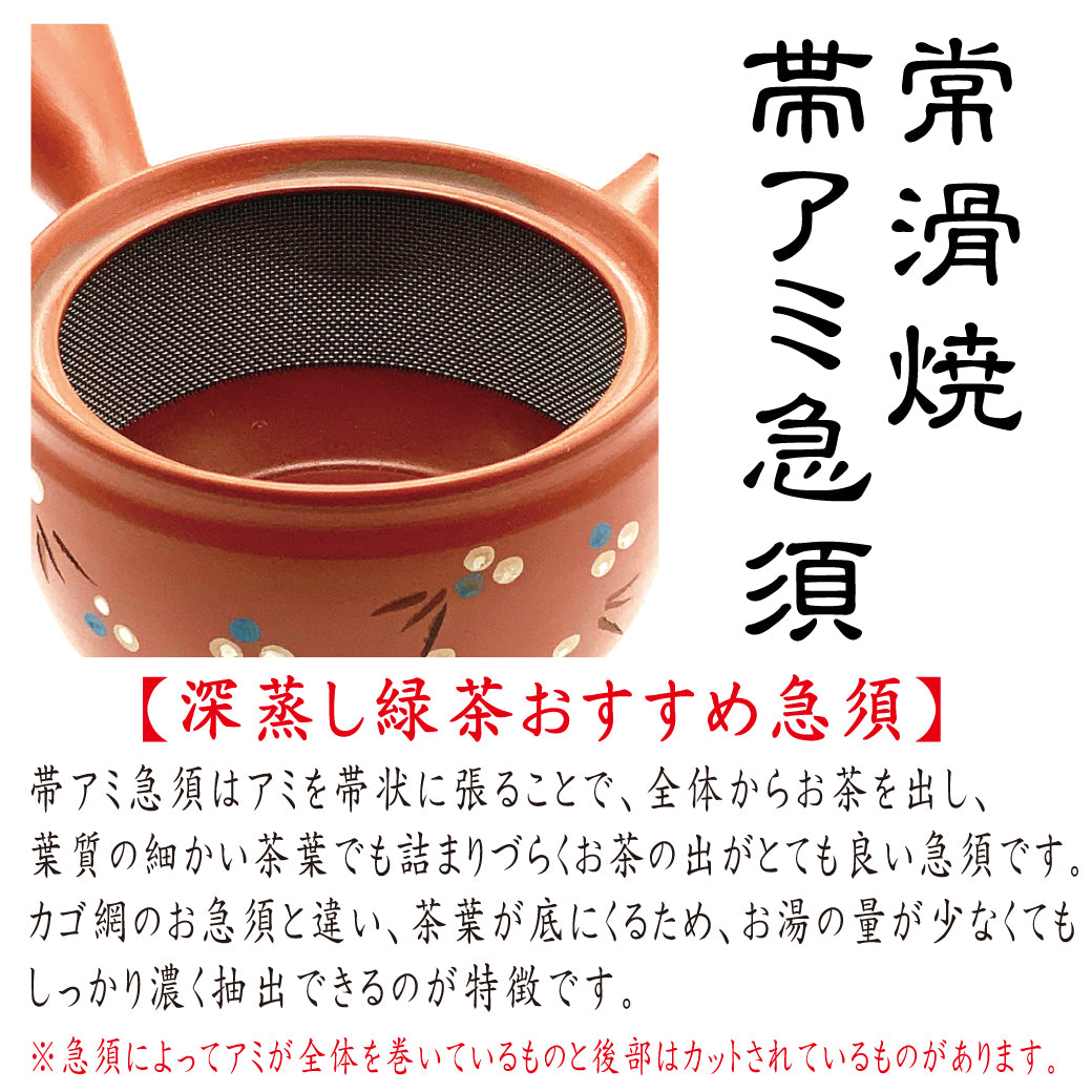 Tokoname yaki obi mesh teapot cut vermillion black 600ml